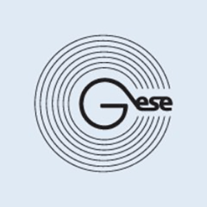 GSENetwork